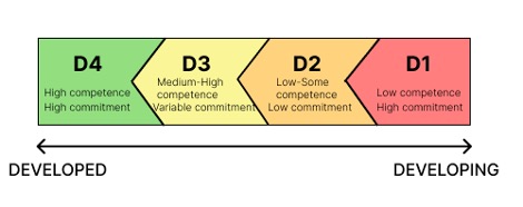 Figure 1: Maturity levels