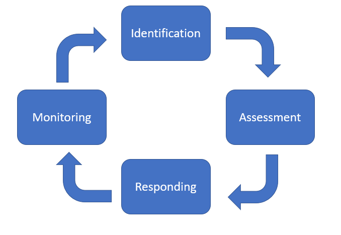 The processes for risk management implementation