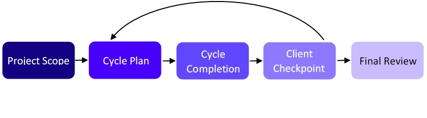 Schematic diagram illustrating the project life cycle in Adaptive Project Management