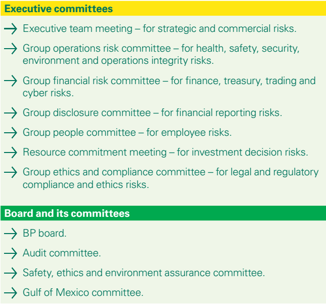 Figure 4: Overview of the risk management structure at BP. [6]