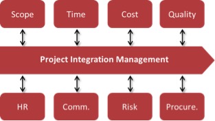 Project integration illustrated by subject groups