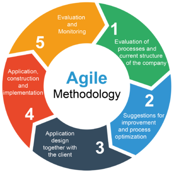 Figure 1 - The cycle of Agile Methodology.