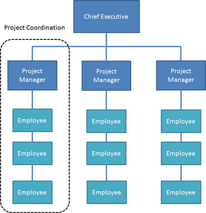 Projectized organizational structureAKD.png