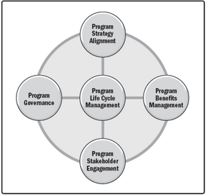 Figure 1: Project Management Performance Domains.