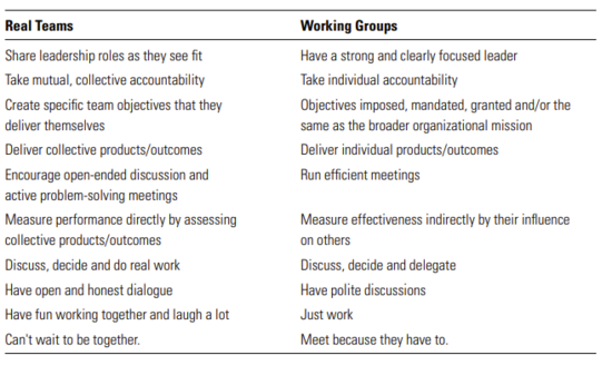 Team-Working, Groups and Meetings