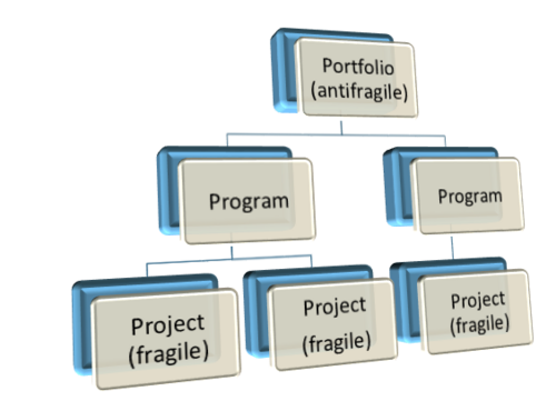 Figure 2 - Antifragility in Project, Program and Portfolio