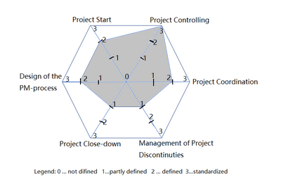 Figure 4.1 Spider web presentation of the organizational pm-competence